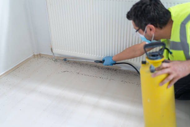 Best Pest Prevention Services  in Manheim, PA